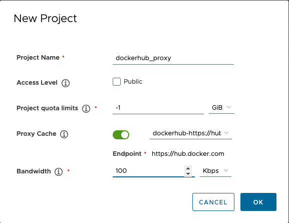 add proxy cache project