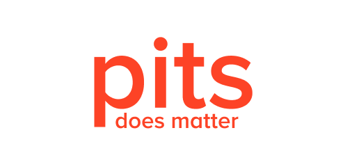 PITS Globale Datenrettungsdienste user logo